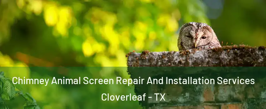  Chimney Animal Screen Repair And Installation Services Cloverleaf - TX