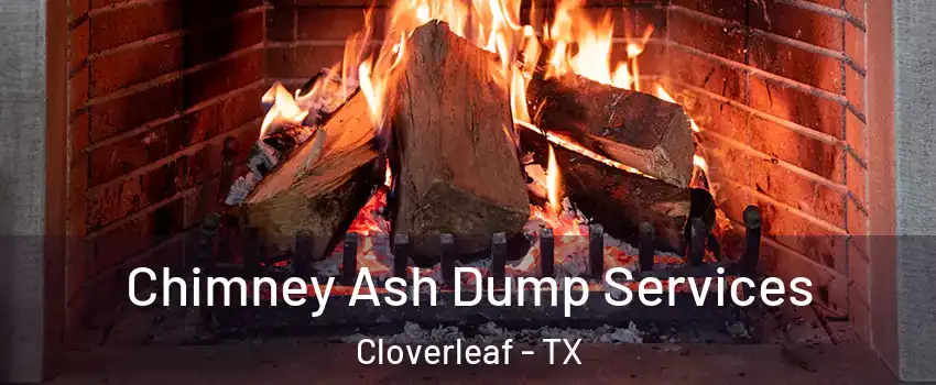  Chimney Ash Dump Services Cloverleaf - TX
