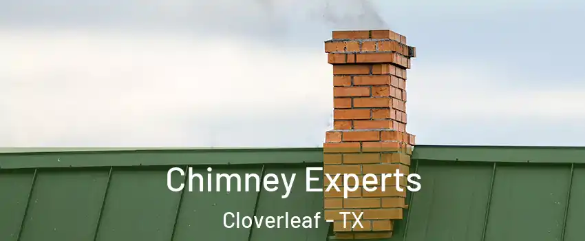  Chimney Experts Cloverleaf - TX
