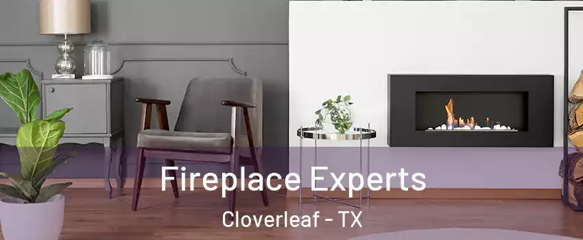  Fireplace Experts Cloverleaf - TX