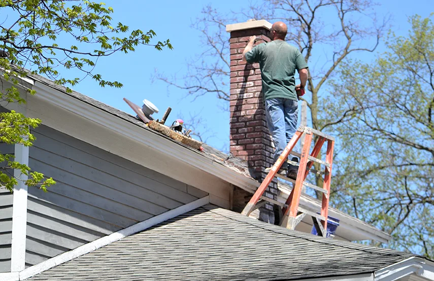 Chimney & Fireplace Inspections Services in Cloverleaf, TX