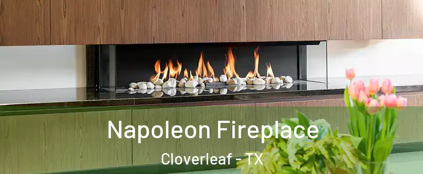  Napoleon Fireplace Cloverleaf - TX